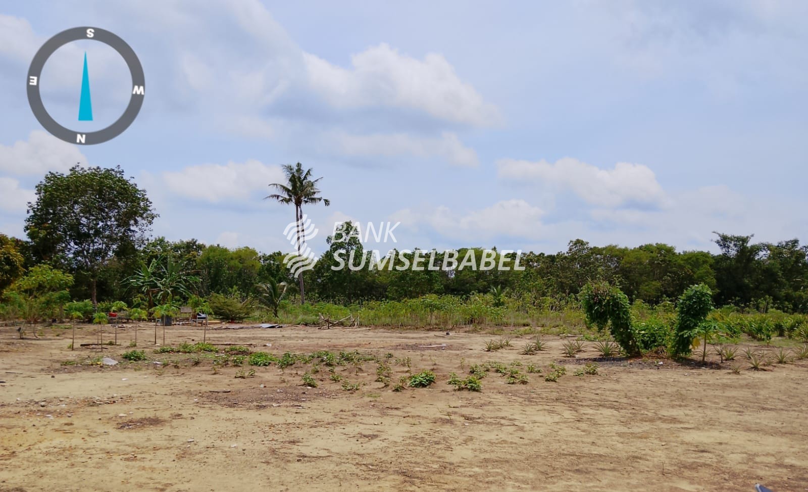Tanah dan Bangunan