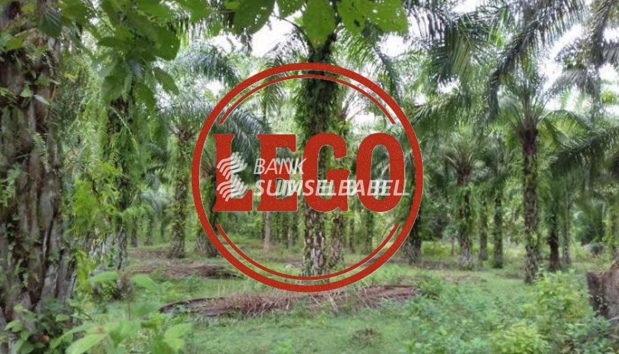 Tanah Perkebunan